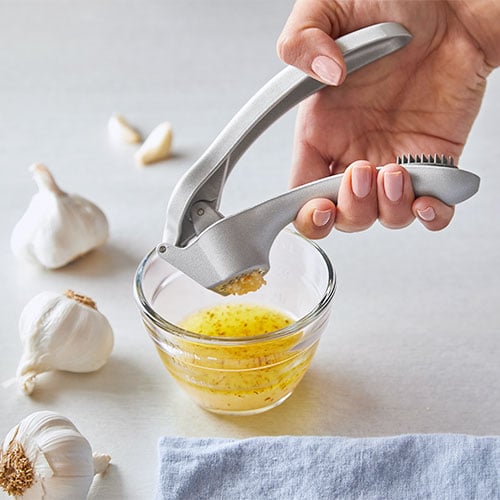 Garlic Master Garlic Cutter Press -B27